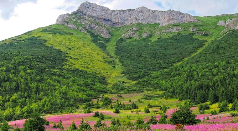 Ubezpieczenie - Tatry Słowackie - dlaczego warto wykupić?